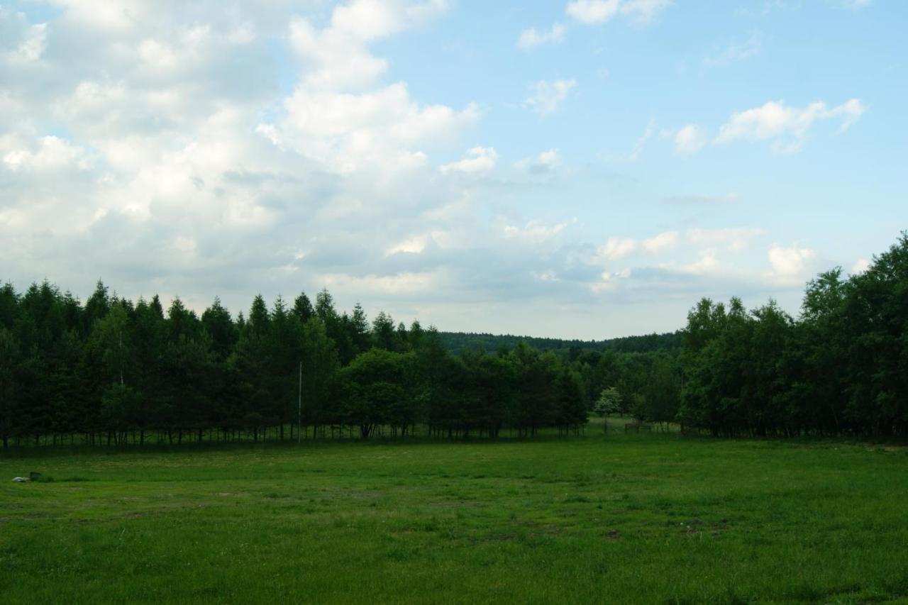 Villa Siedlisko Blotnia à Mierzeszyn Extérieur photo